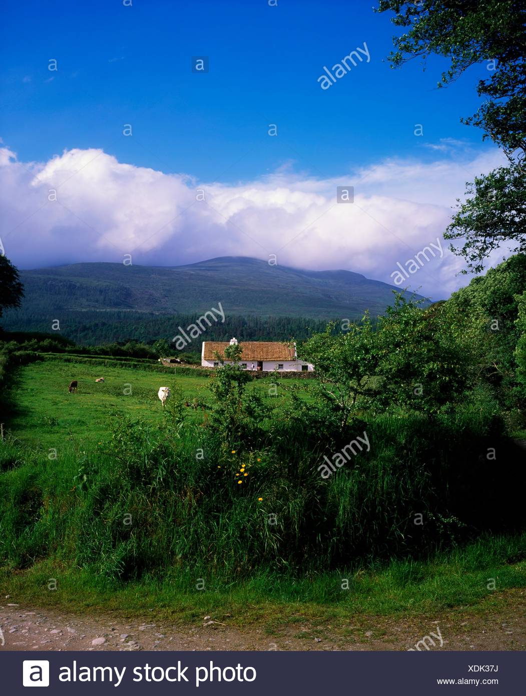 Muckross Traditional Farms Killarney National Park Co Kerry
