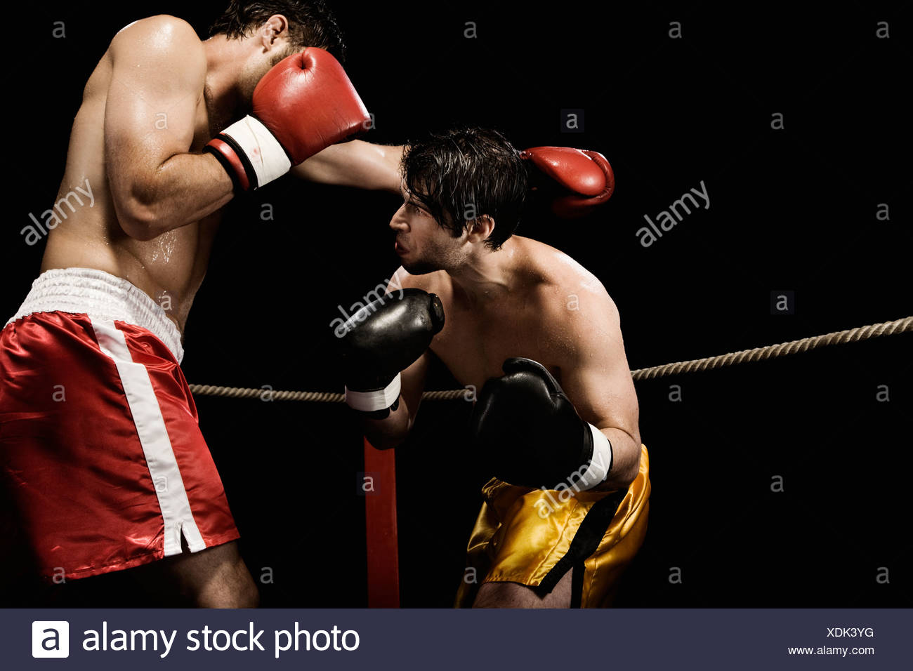 Boxers Fighting Stock Photos & Boxers Fighting Stock Images Alamy