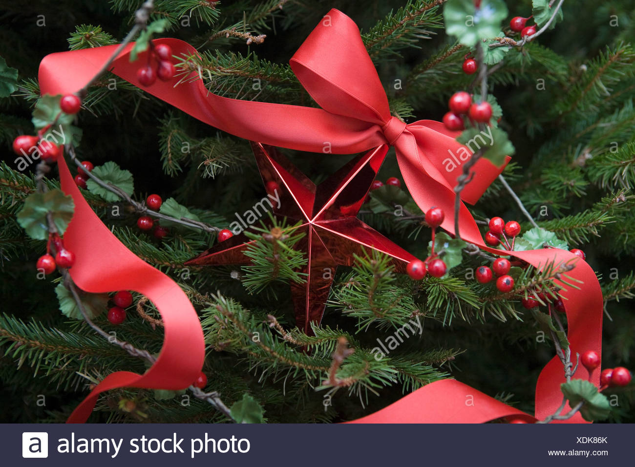 Christmas decorations on a tree Stock Image