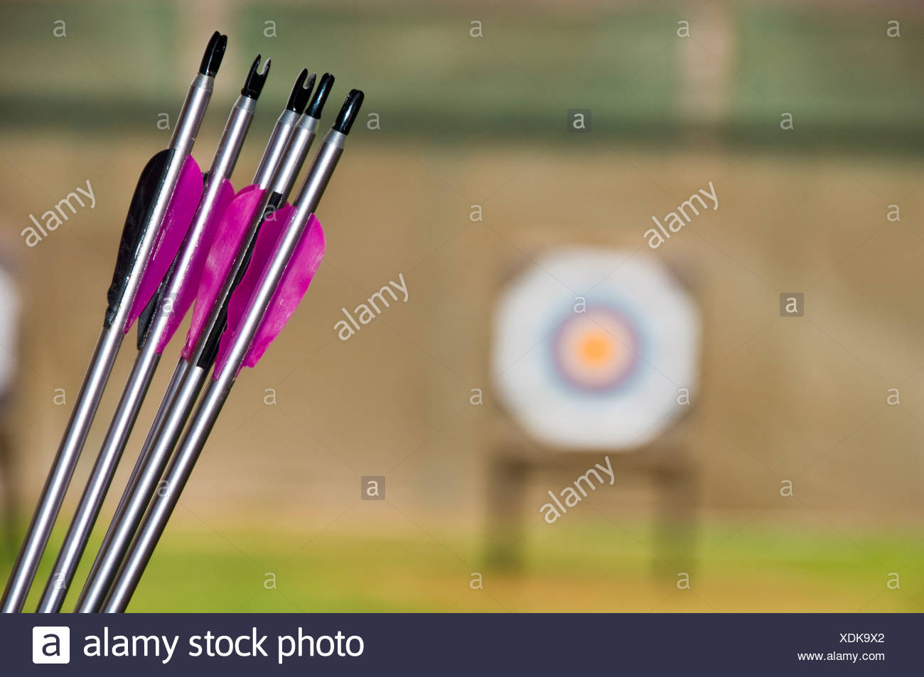 Archery Target Detail Stock Photos & Archery Target Detail Stock Images