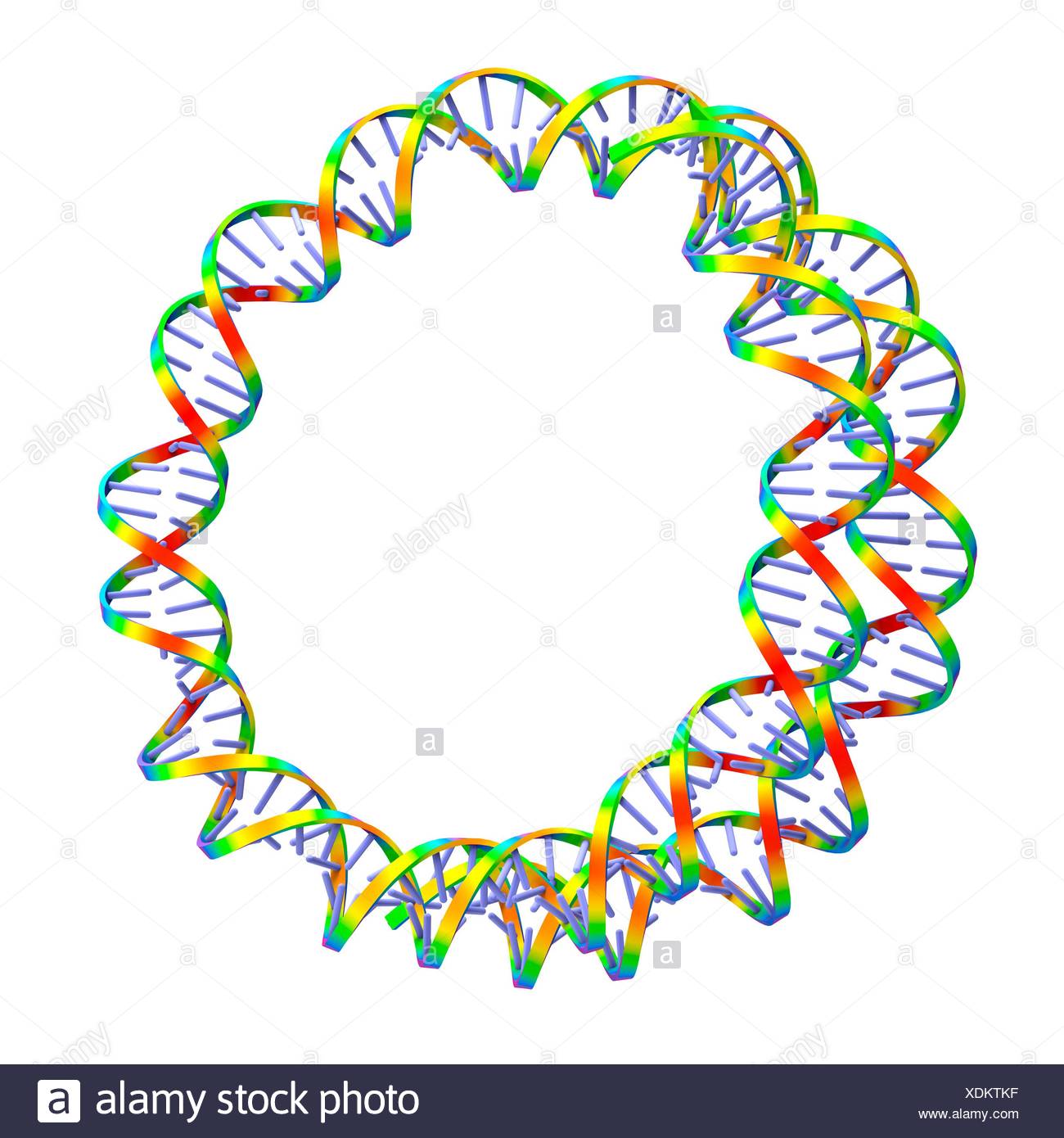 Circular Dna Molecule High Resolution Stock Photography And Images - Alamy