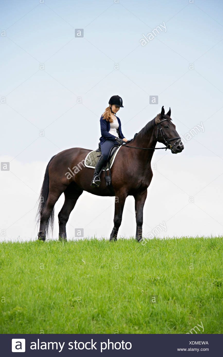 Woman On Horse Stock Photos & Woman On Horse Stock Images Alamy