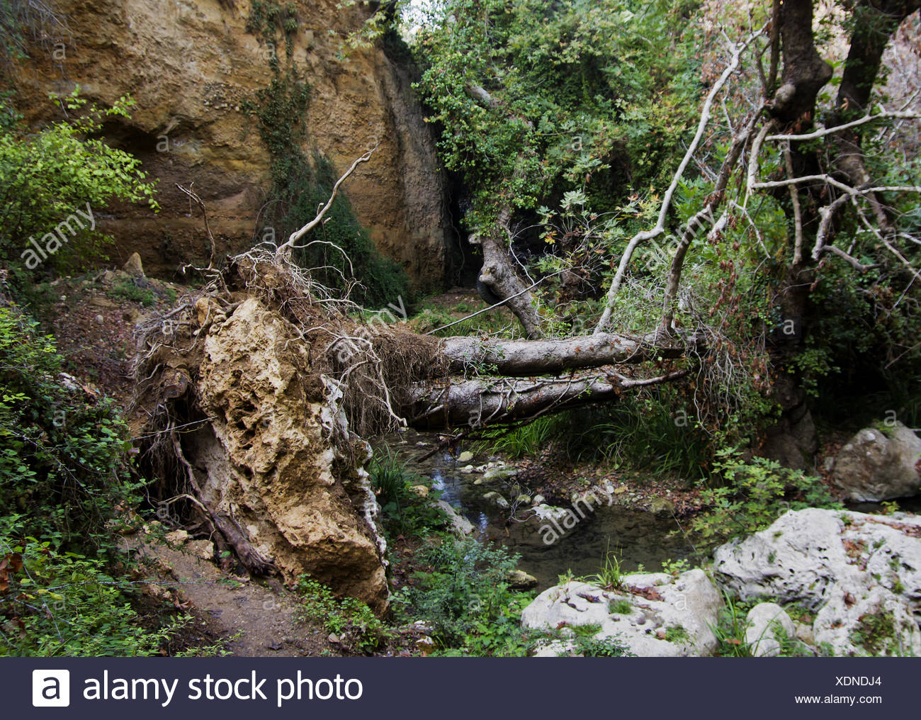 Kreta Canyon High Resolution Stock Photography And Images Alamy kreta-canyon-high-resolution-stock-photography-and-images-alamy