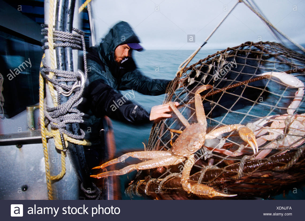 Crab Pot Alaska Stock Photos & Crab Pot Alaska Stock Images Alamy