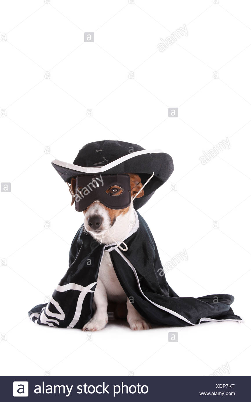 Avoir Images Zorro Costume Stock Photo 283845404 Alamy le plus cool par