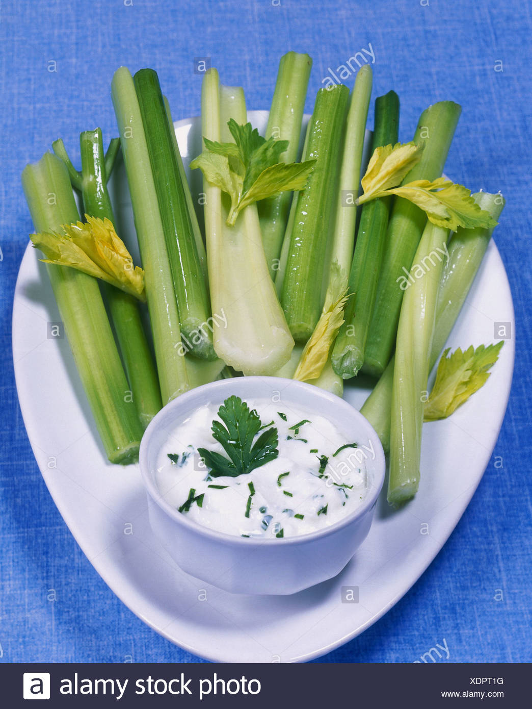 Petiolate Celery With Cottage Cheese Dip Stock Photo 283858220