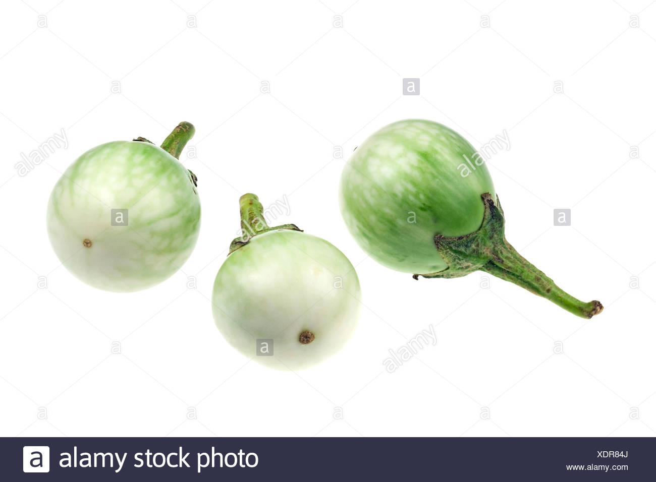 Eggplant Stock Photo