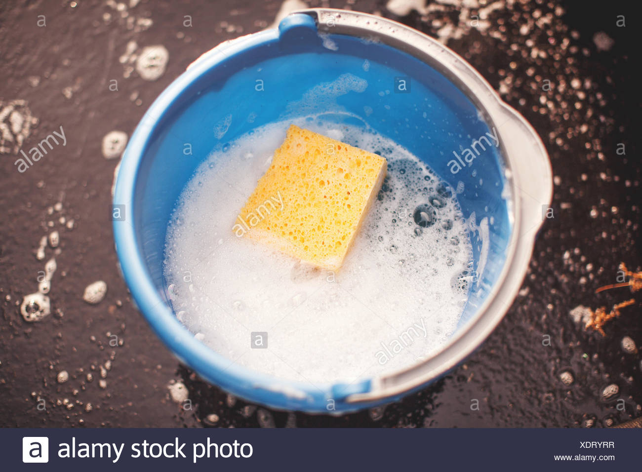 Soapy Sponge Stock Photos & Soapy Sponge Stock Images Alamy