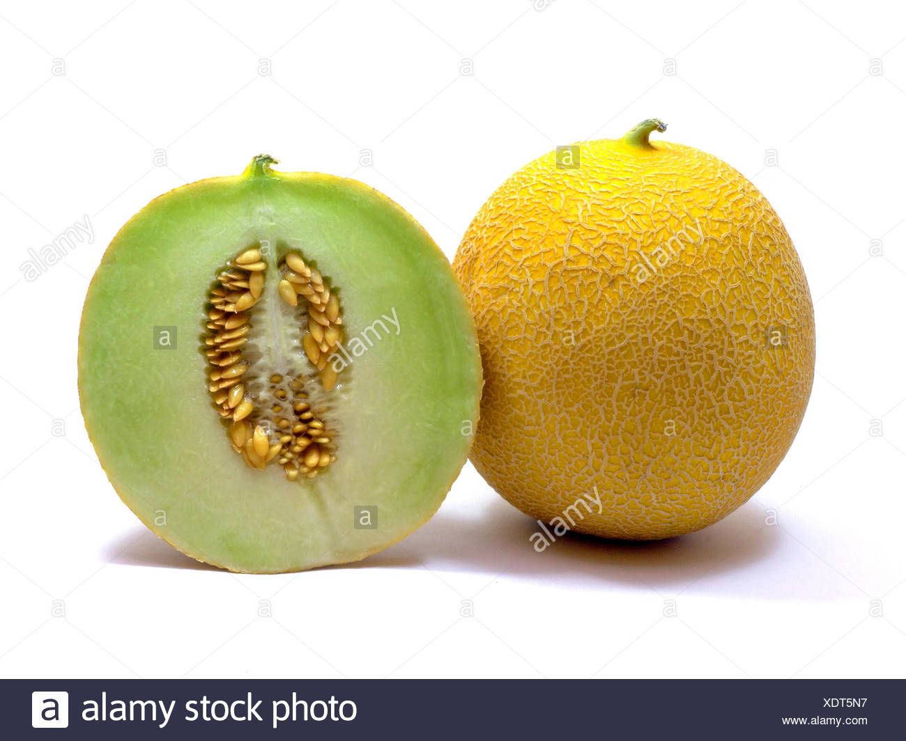 galiamelone (cucumis melo) Stock Photo