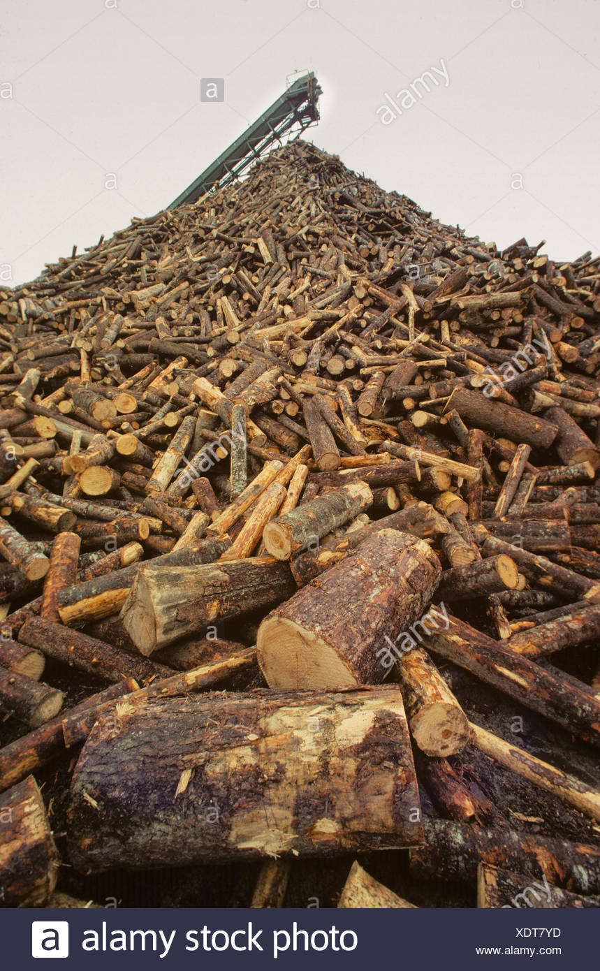Pulpwood Stock Photos & Pulpwood Stock Images Alamy