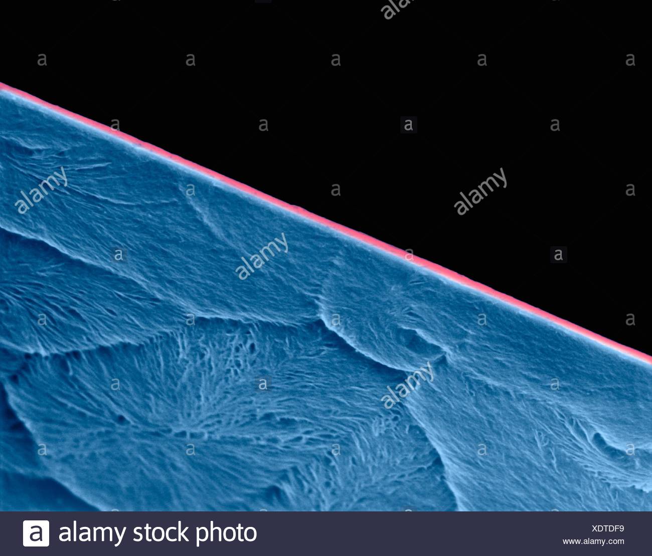 Coloured Scanning Electron Micrograph Sem Of Edge Of A New Razor