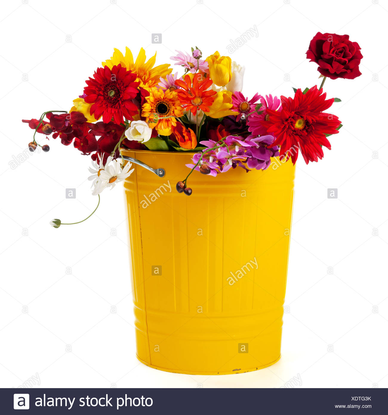 Trash Can Flowers Stock Photos & Trash Can Flowers Stock Images Alamy