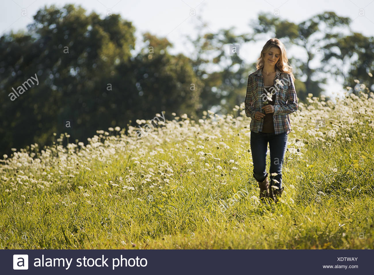 Woodstock New York Usa Young Woman Walking In Wild Flower Meadow Stock Photo Alamy Woodstock New York Usa Young Woman Walking In Wild Flower Meadow Stock Photo Alamy