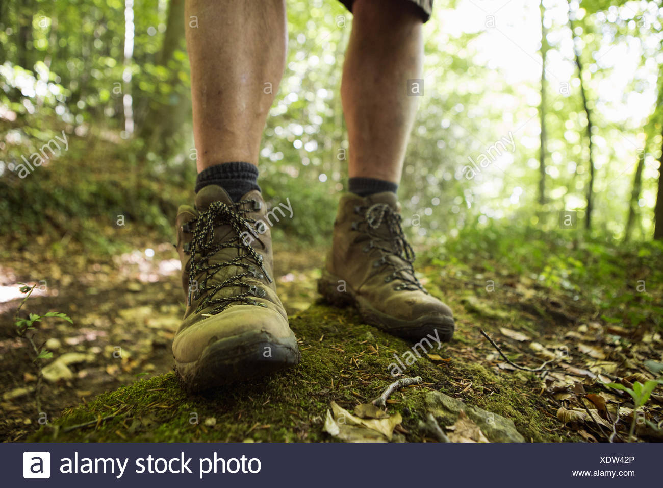 woodland hiking boots