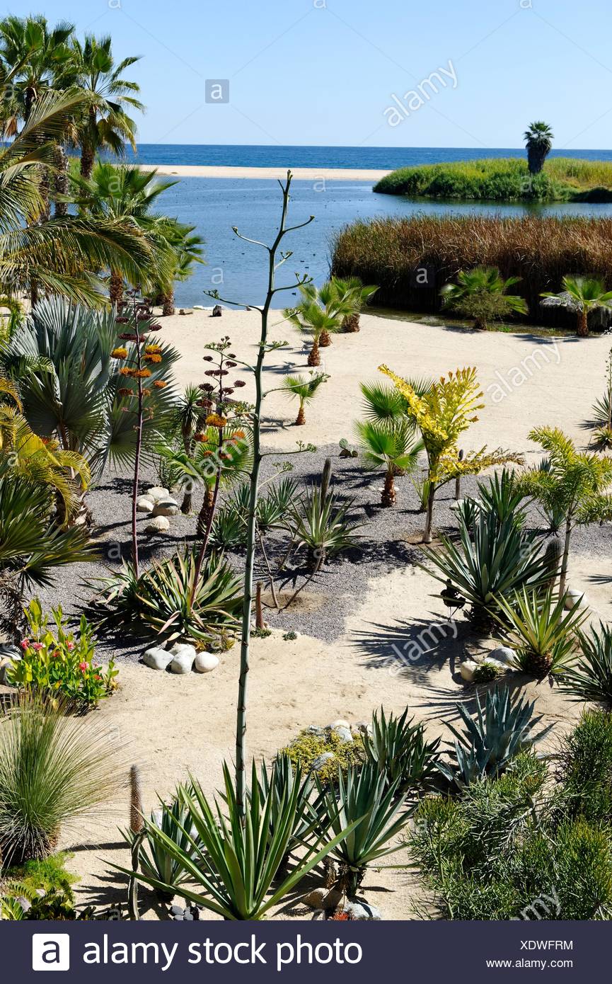 Posada La Poza The Only Hotel Located On The Beach Of The Historic Todos Santos Pacific Coast Side Of The Peninsula Baja Stock Photo Alamy