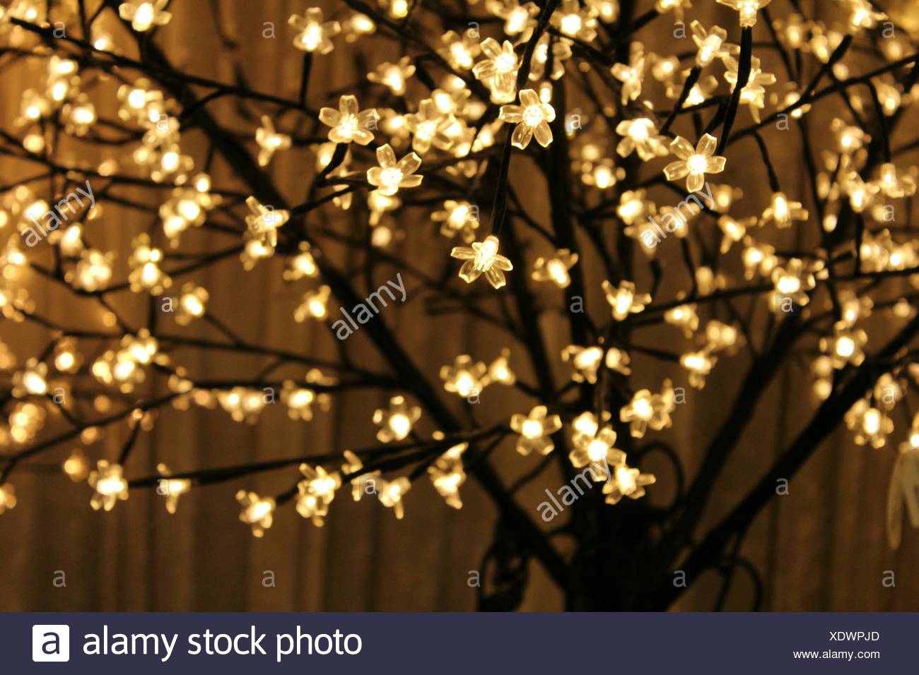 Bare Branch Christmas Tree High Resolution Stock Photography And Images Alamy