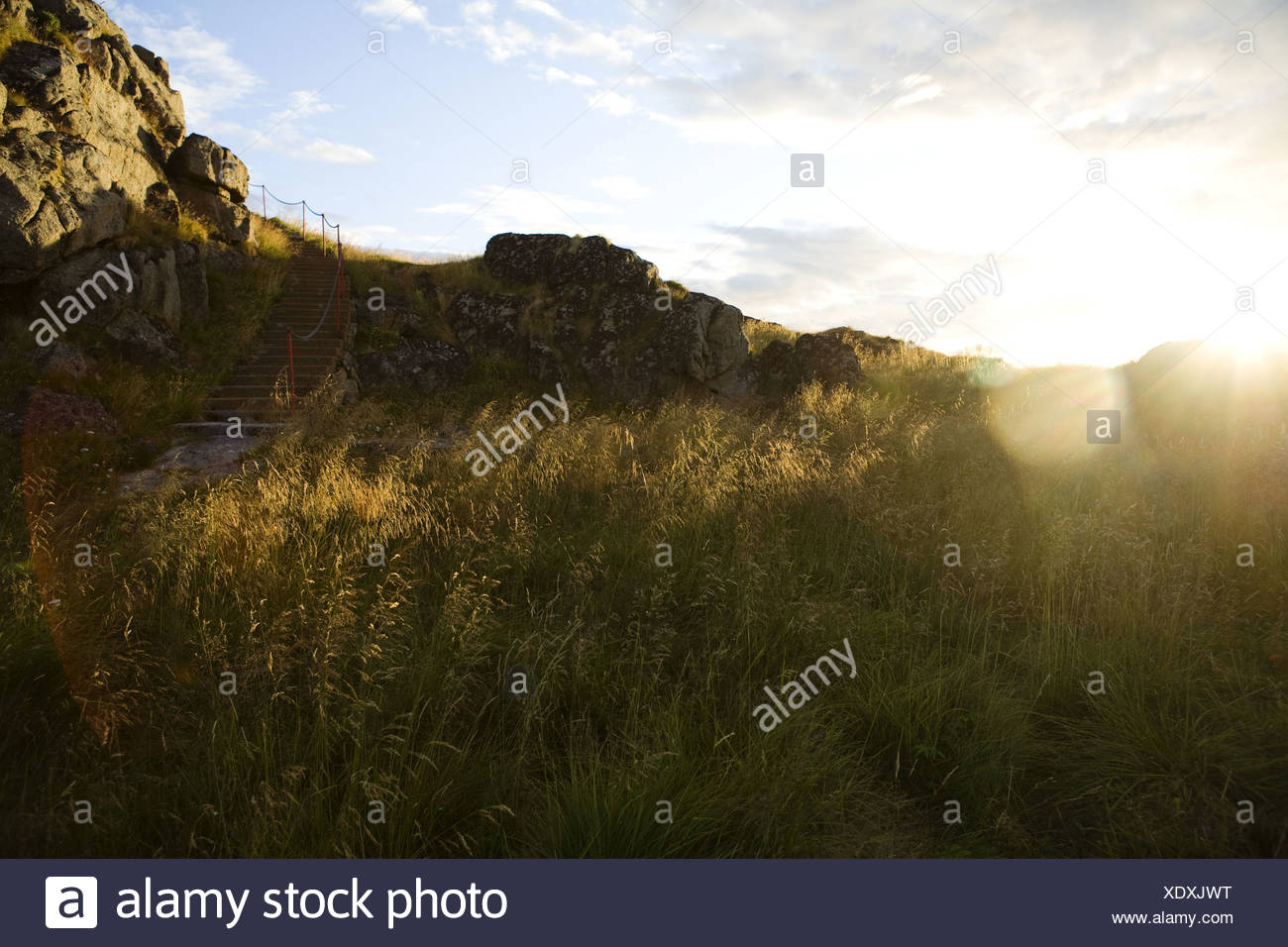 Rural Scene In Nature High Resolution Stock Photography and Images - Alamy