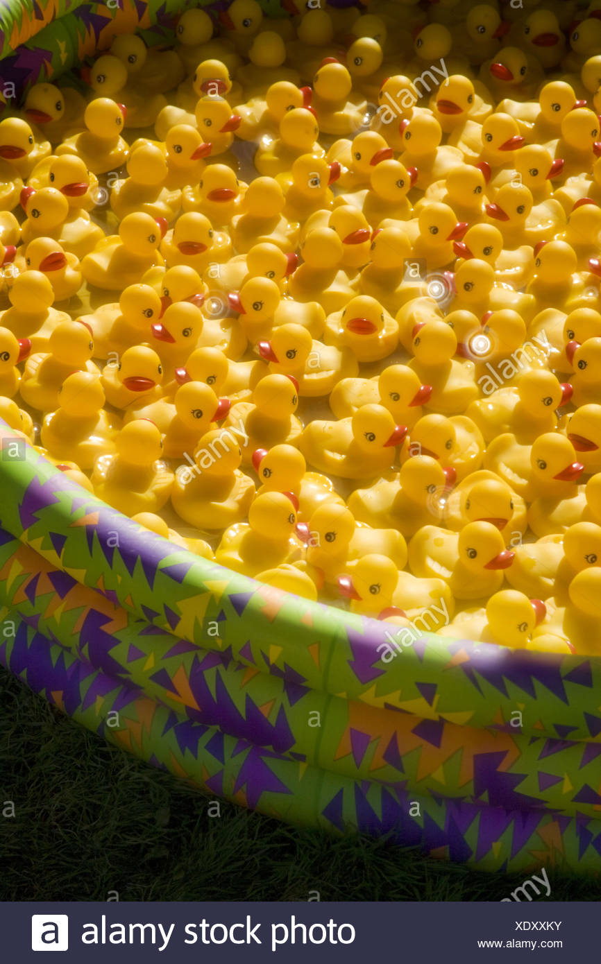 Rubber ducks floating in water at a carnival game booth Stock Photo Alamy