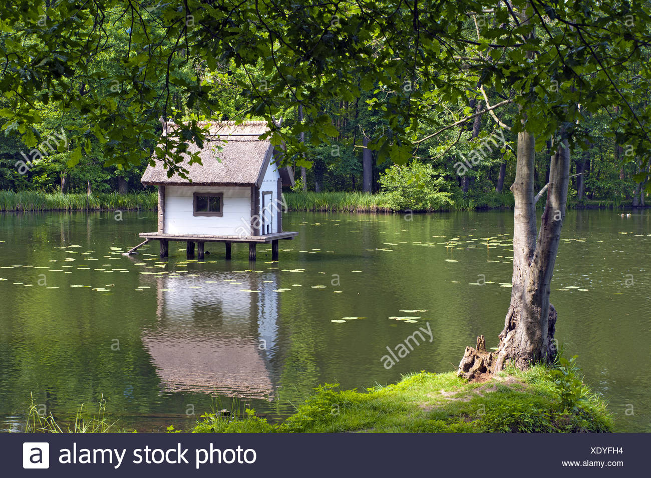 Wooden Duck House High Resolution Stock Photography and Images - Alamy
