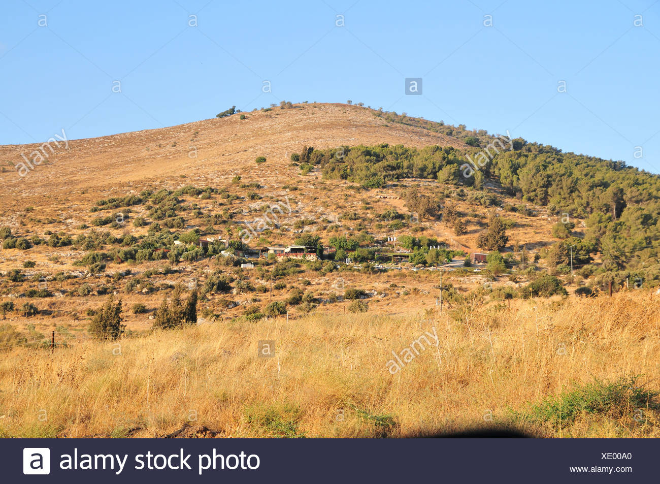 Mount Gilboa Stock Photos & Mount Gilboa Stock Images Alamy