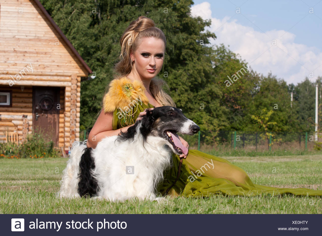 The Woman In A Beautiful Old Style Dress With Borzoi Dogs Stock Photo Alamy
