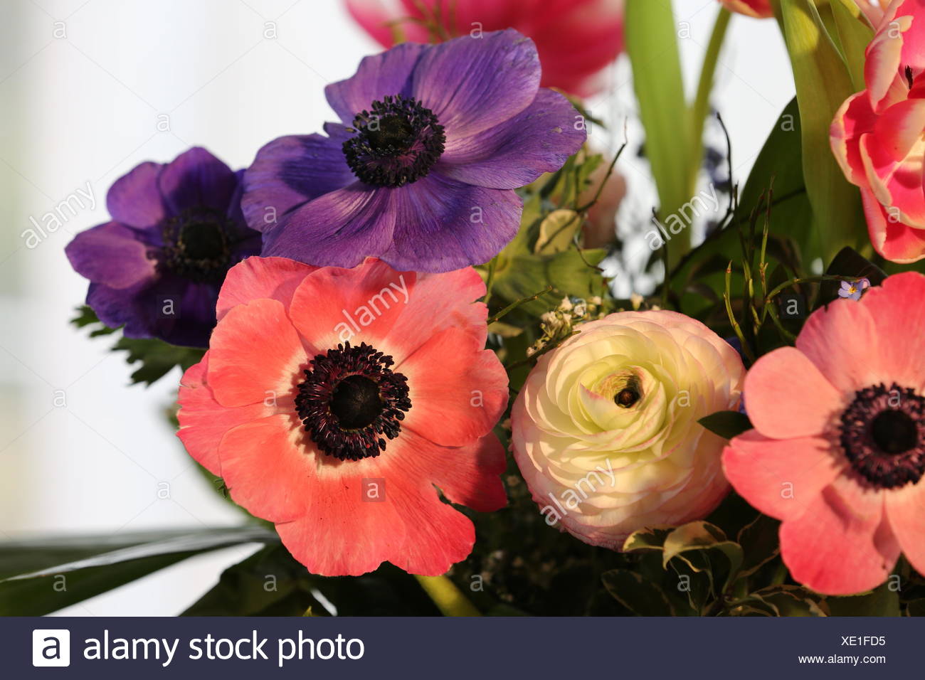 Blumenstrauss Mit Anemonen Ranunkeln Tulpen Stock Photo Alamy