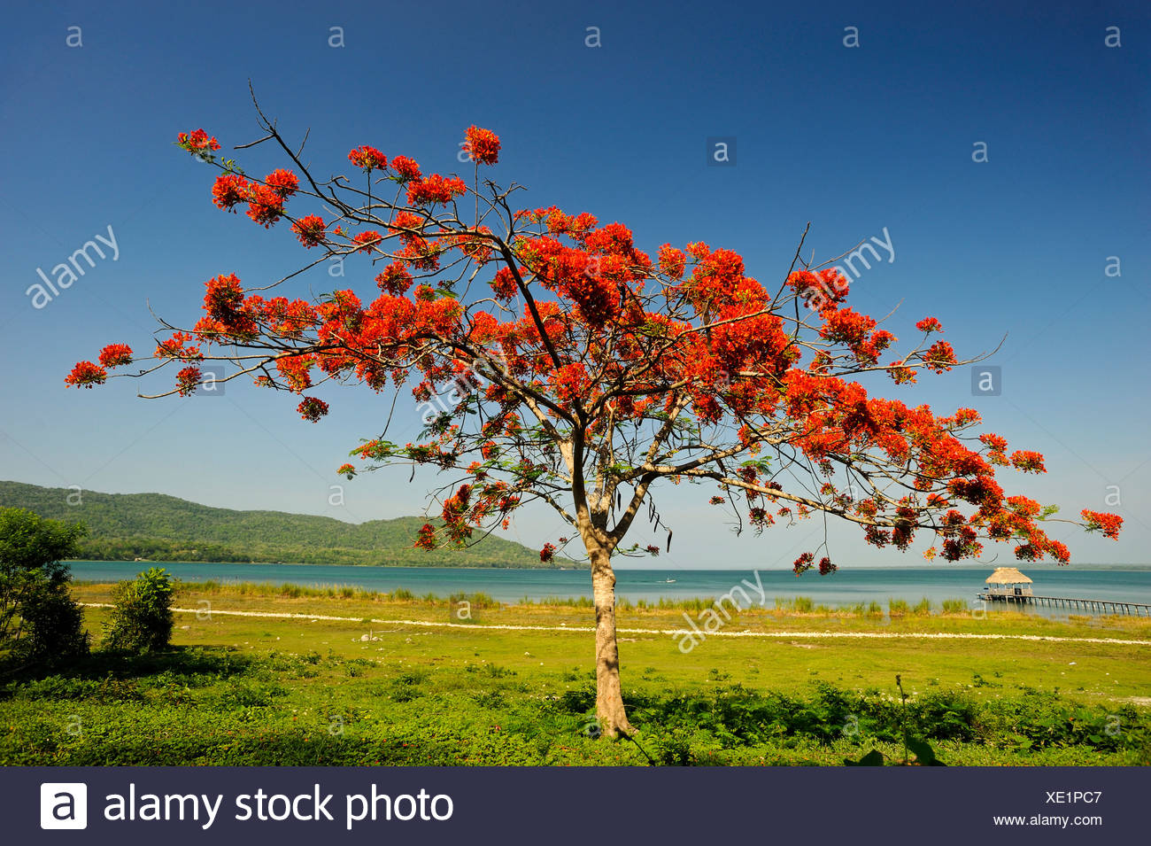 Peten High Resolution Stock Photography and Images Alamy