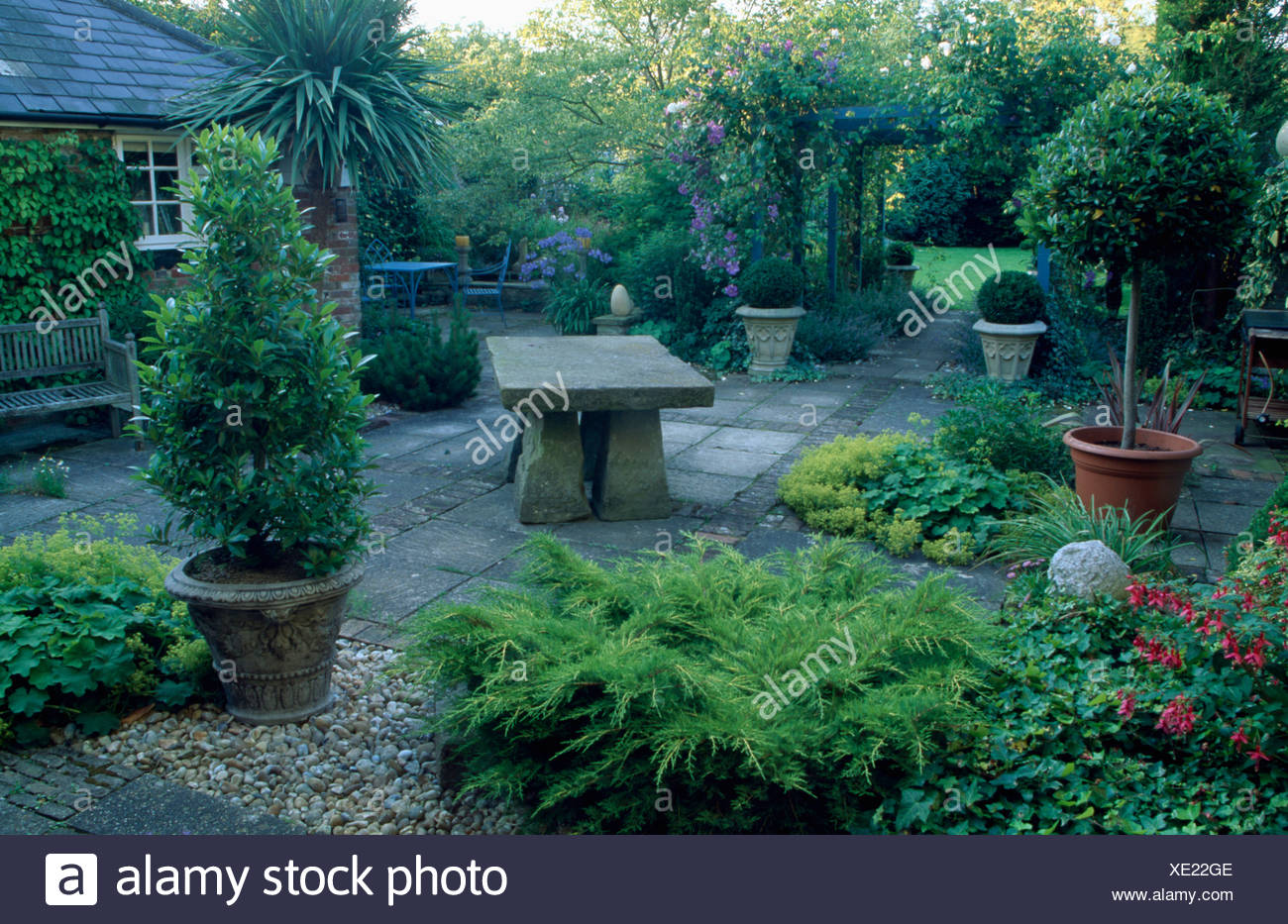 Clipped Trees In Pots On Patio In Front Of House View To Garden