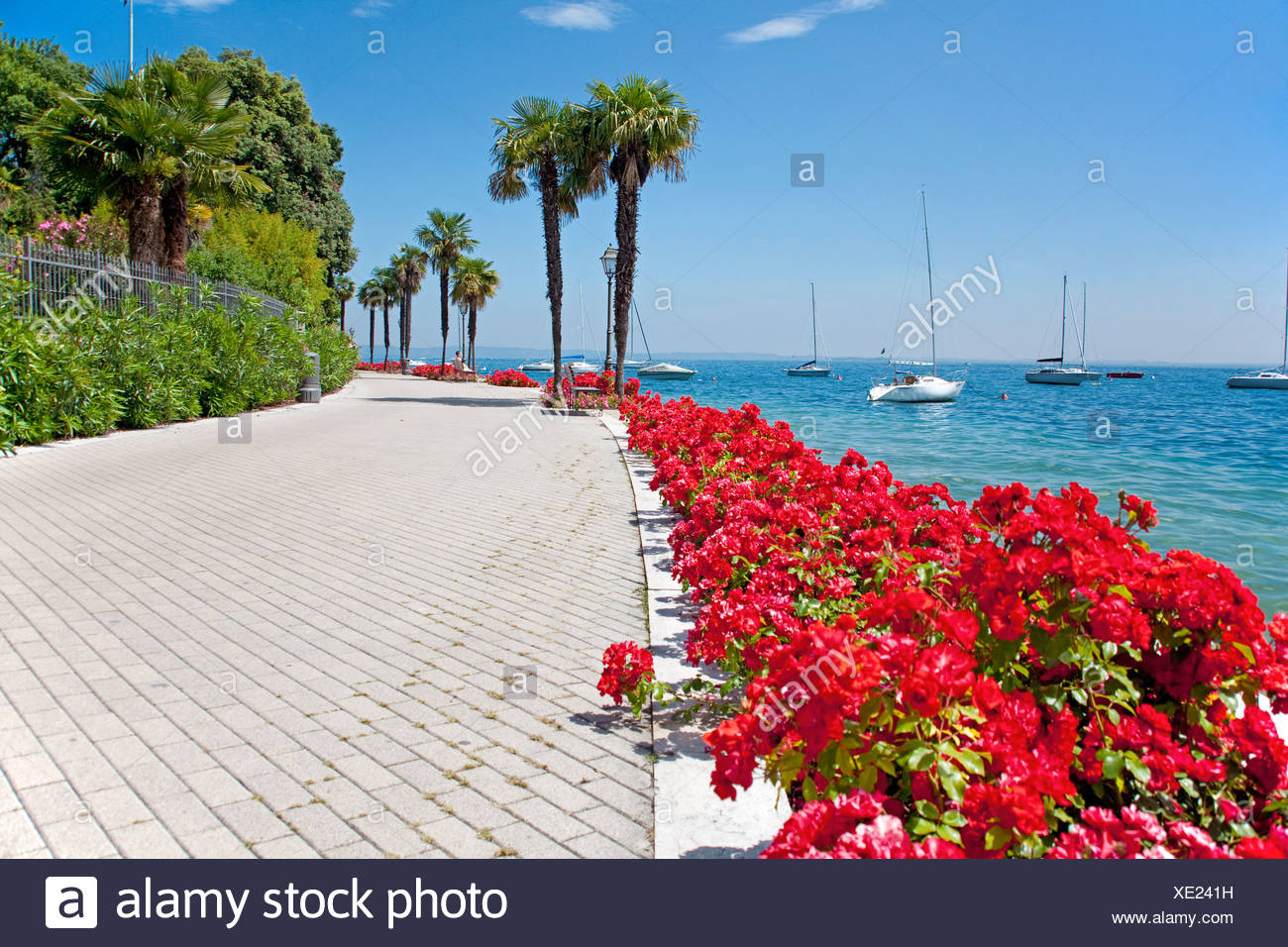 Flowers Lake Garda High Resolution Stock Photography And Images Alamy