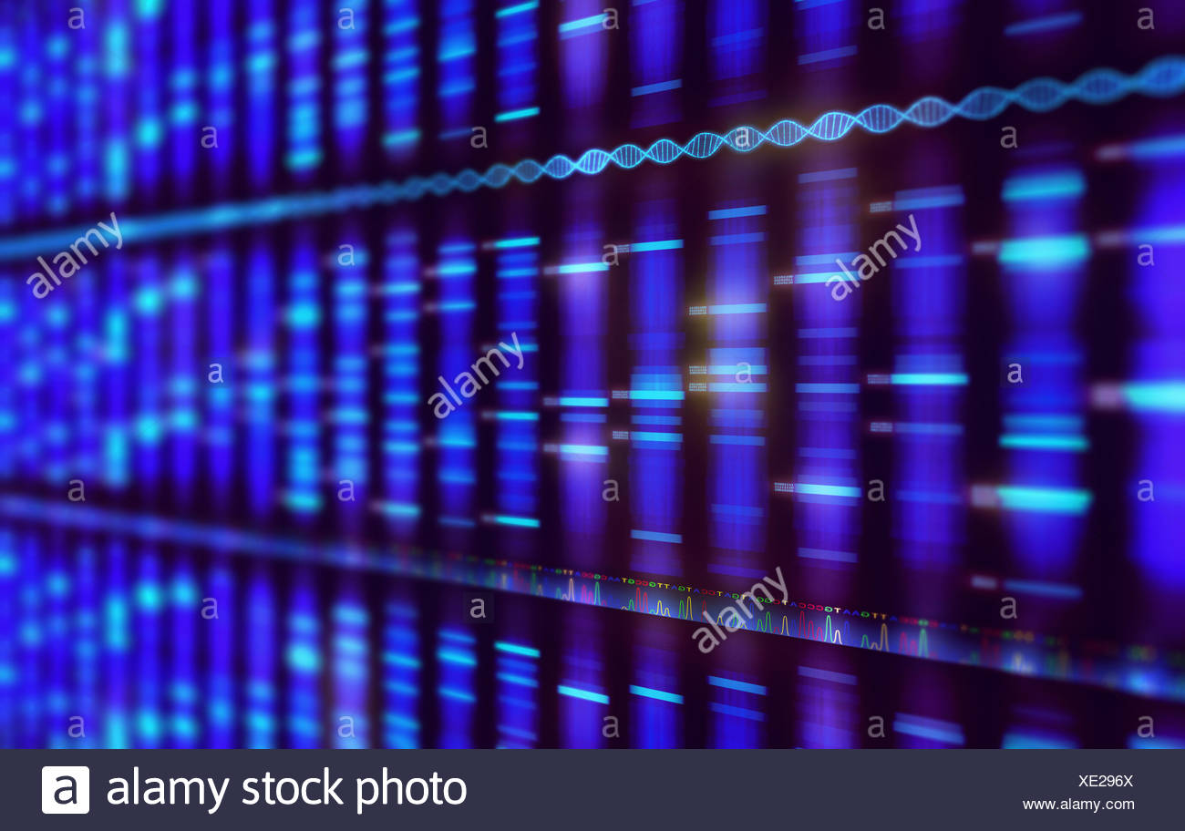 alamy