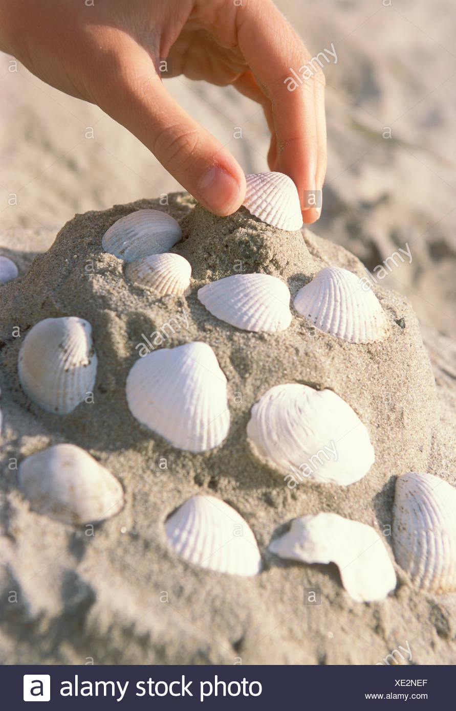 Close Up Of Hand Decorating Sand Castle With Shells On The Beach