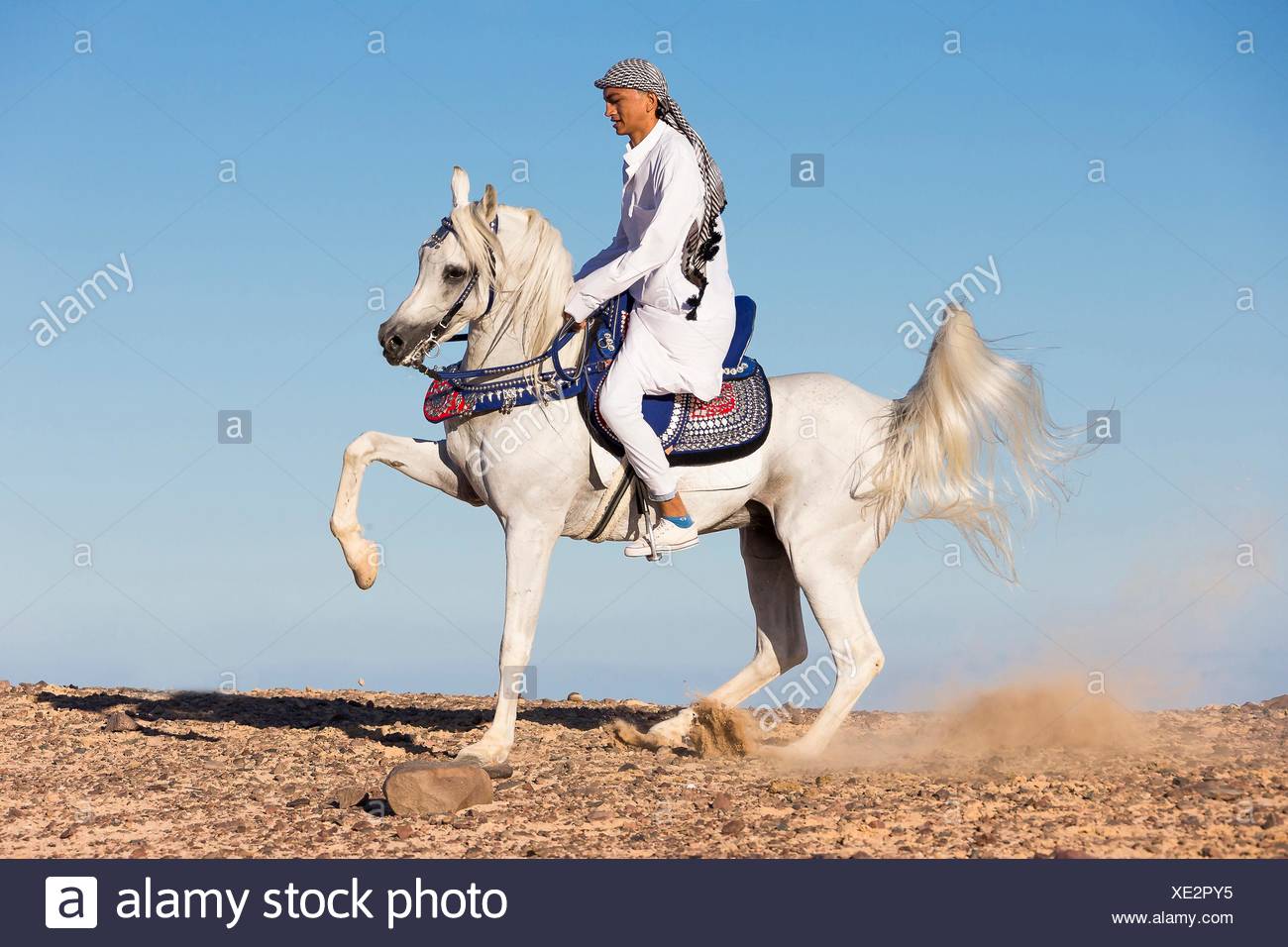 Vices High Resolution Stock Photography and Images Alamy