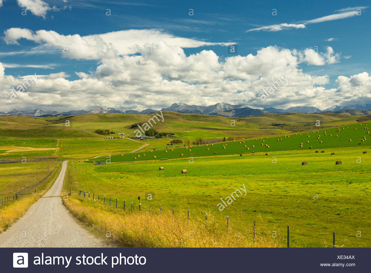 Landscape Alberta Foothills Stock Photos & Landscape Alberta Foothills