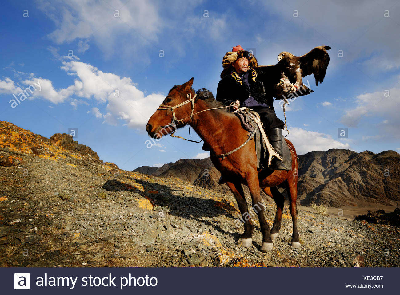 Kazakh Men Traditionally Hunt Foxes And Wolves Using Trained