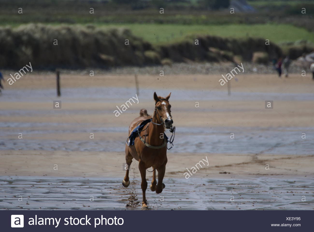 Thrown By Horse Stock Photos & Thrown By Horse Stock Images Alamy