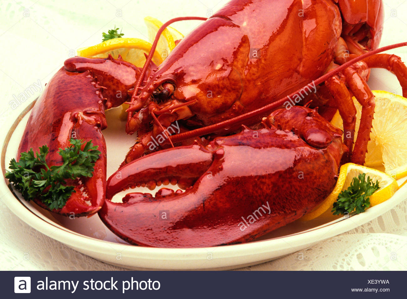 Cooked Lobster Prince Edward Island Canada Stock Photo
