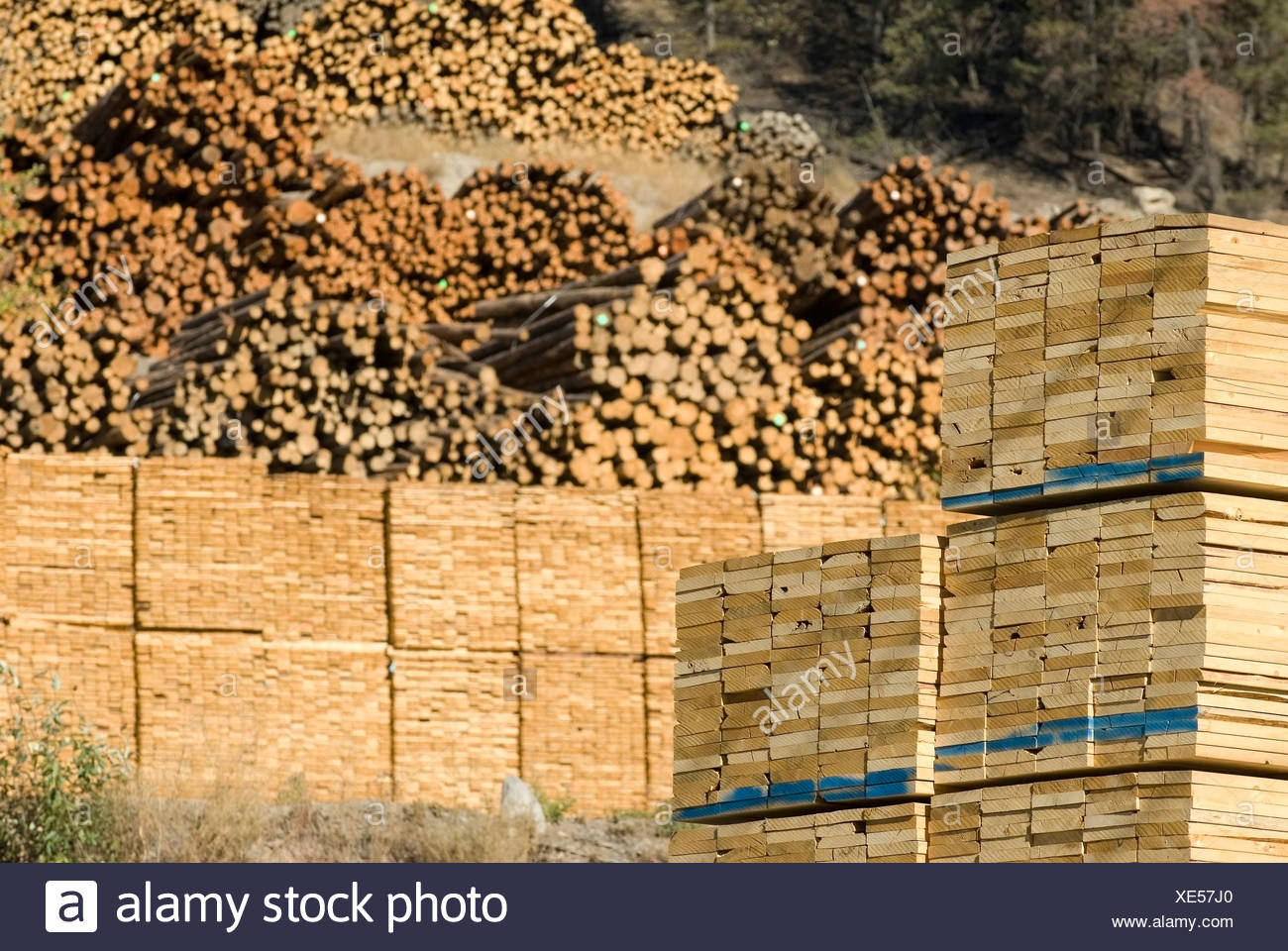 Drying Timber Stock Photos & Drying Timber Stock Images Alamy