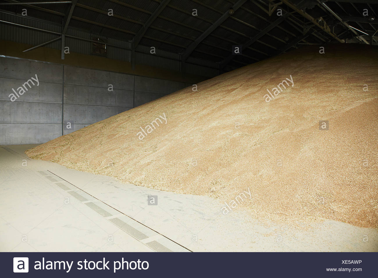 Pile Grain In Warehouse High Resolution Stock Photography and Images
