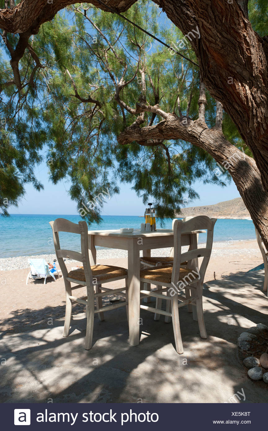 Table In The Shade Wooden Chairs Under A Tamarisk Or Salt