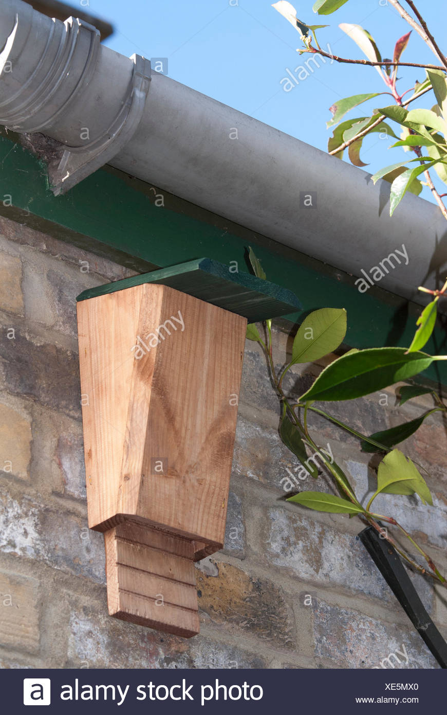 bat box high under eaves of house in garden for roosting bats uk