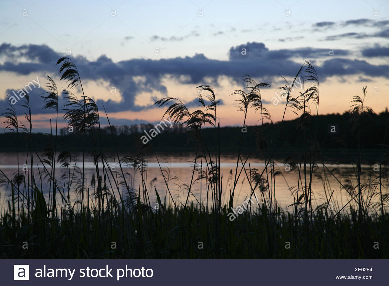 Muslim Western Pomerania