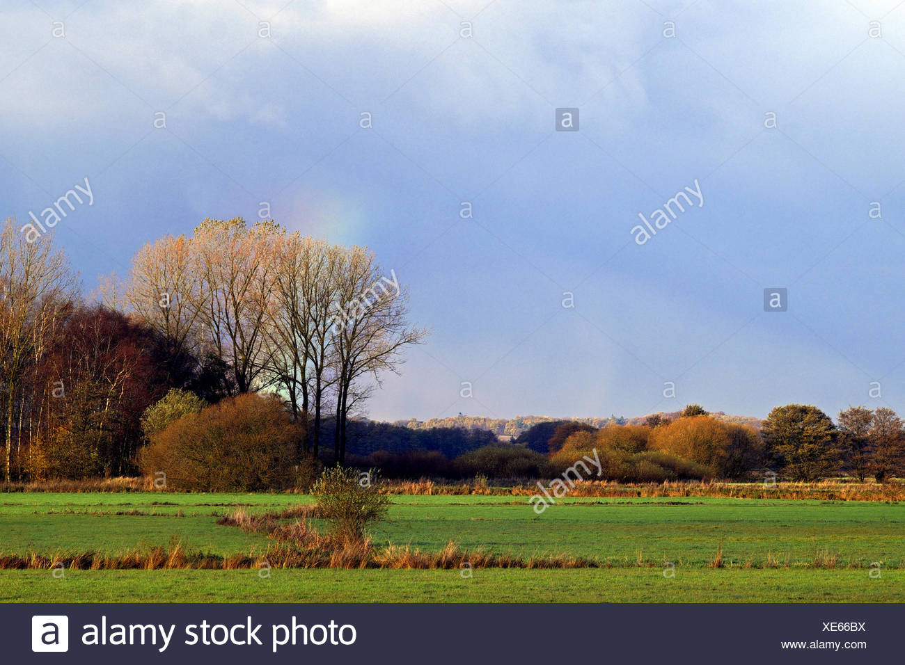 Weyerberg High Resolution Stock Photography and Images - Alamy