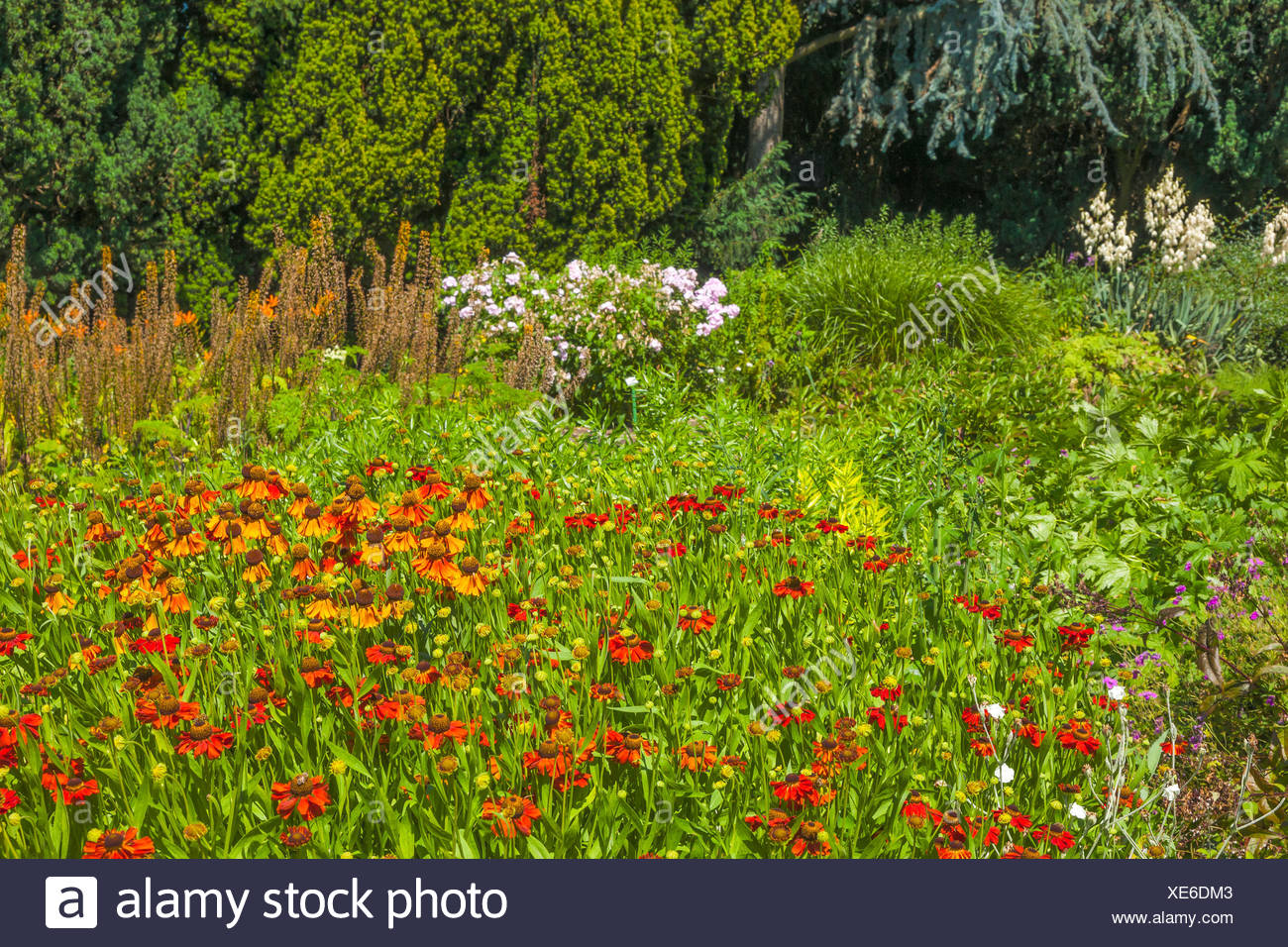 Krefeld Nordrhein Westfalen Germany Botanischer Garten Stock