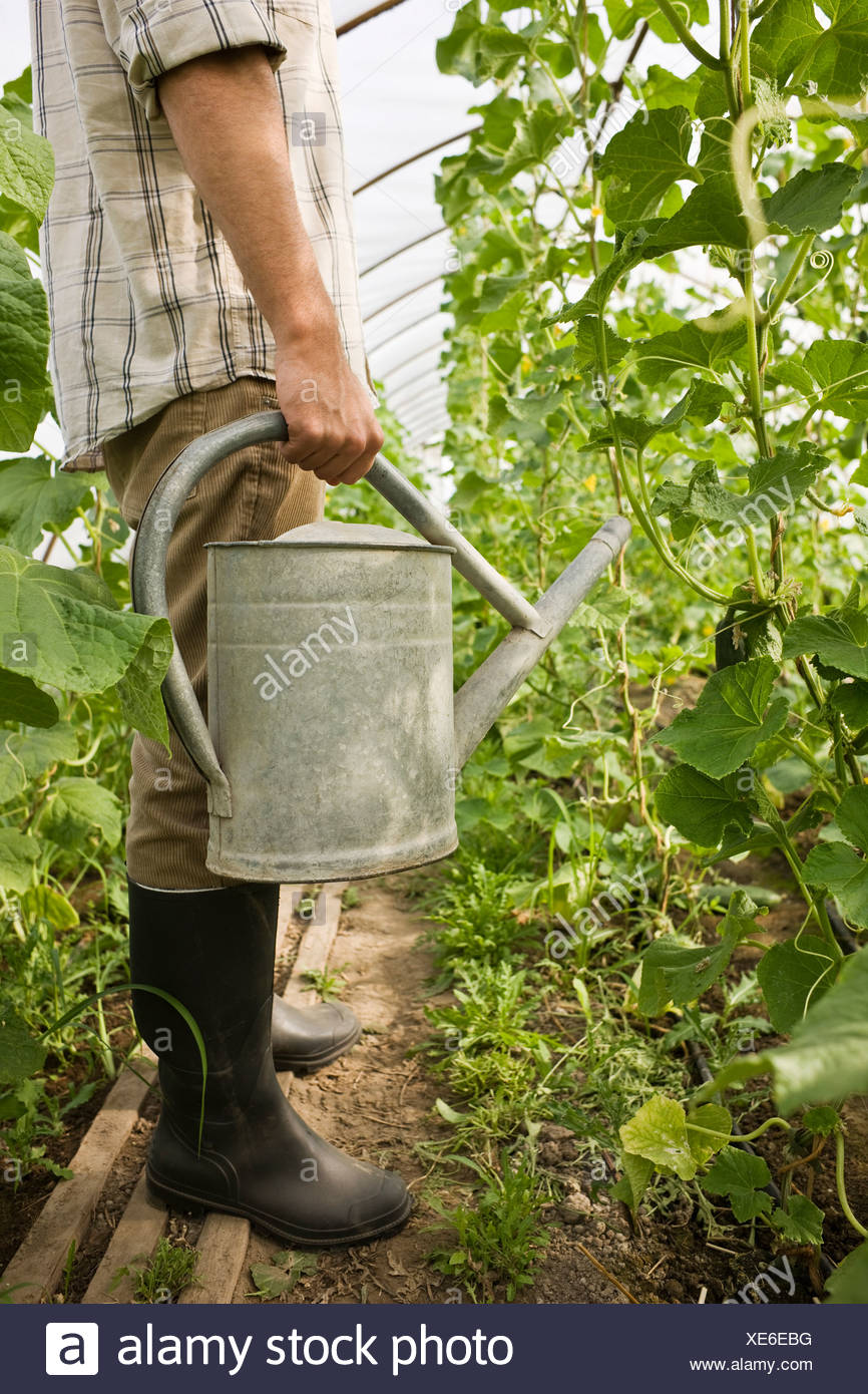 Person in greenhouse holding watering can, side view Stock Photo