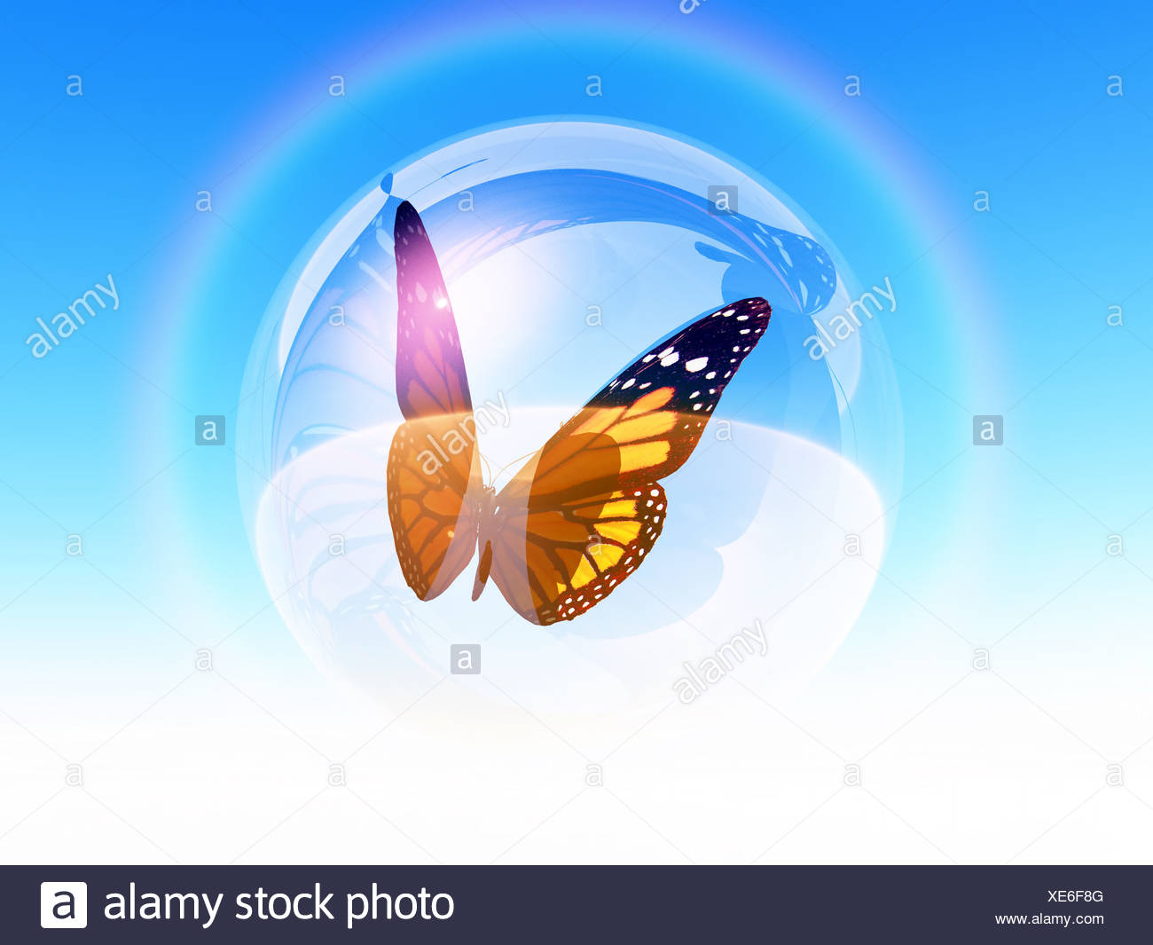 bubble butterfly