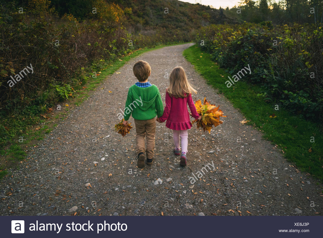 Hands Holding Autumn Leaves High Resolution Stock Photography And Images Alamy Hands Holding Autumn Leaves High Resolution Stock Photography And Images Alamy