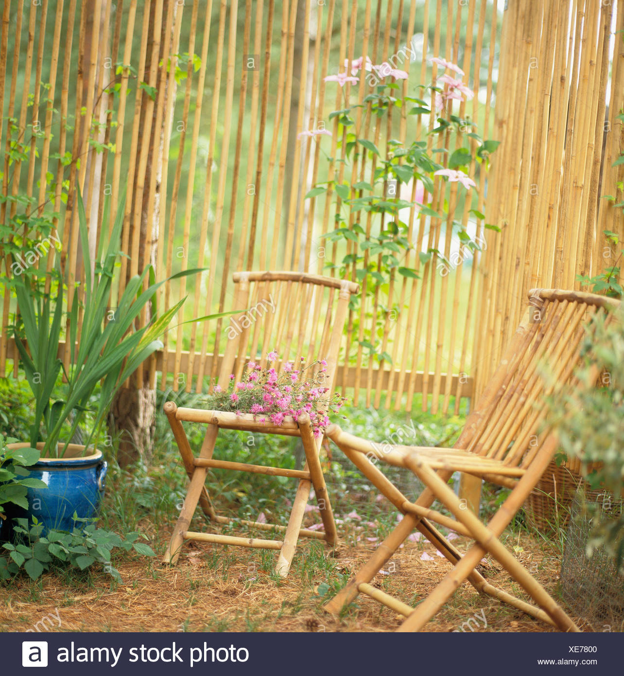 Bamboo Chair High Resolution Stock Photography and Images - Alamy