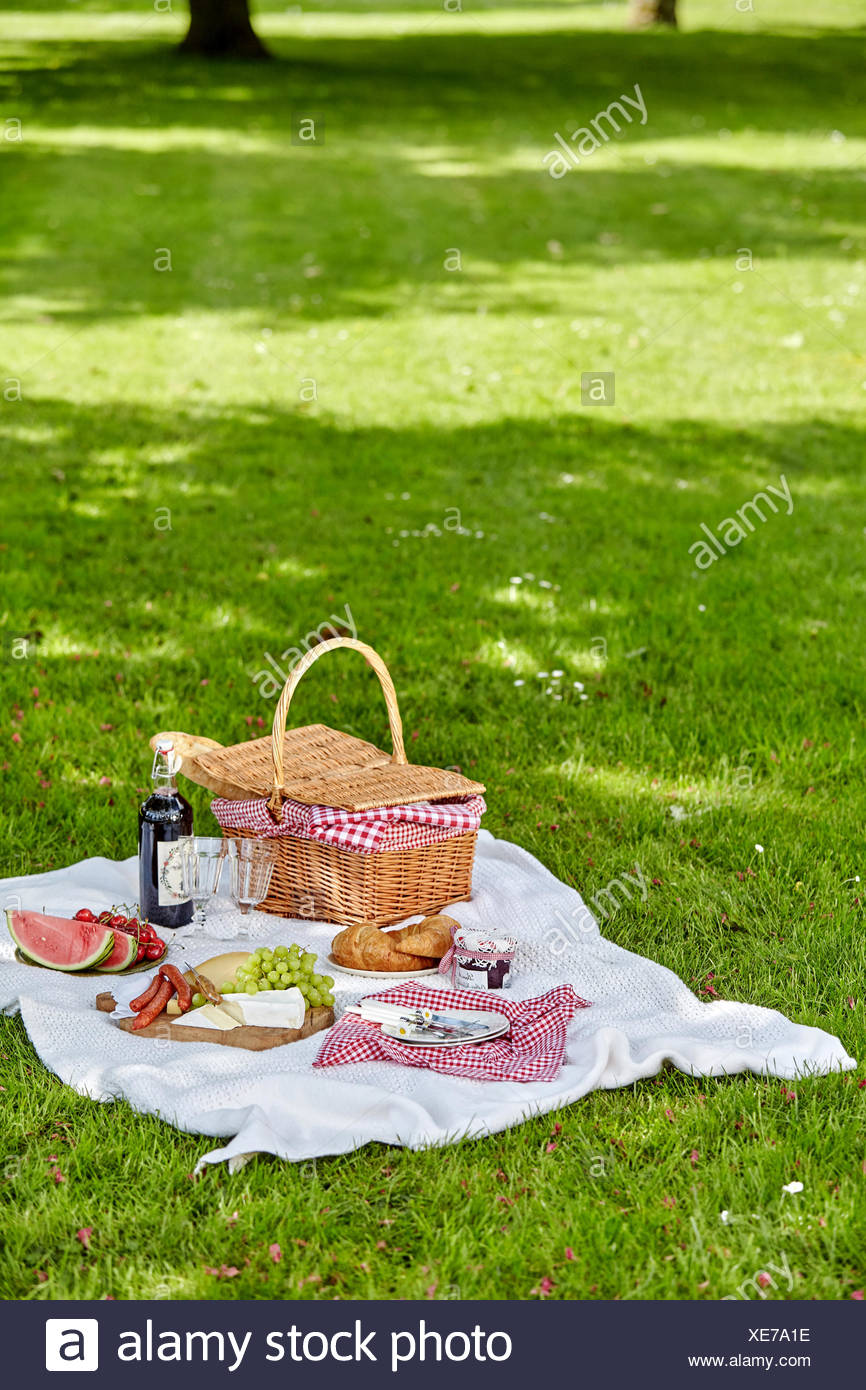 red and white picnic rug