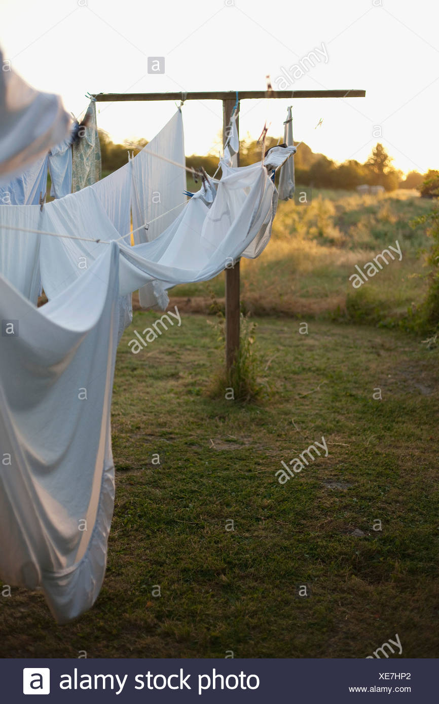 Dry Lawn High Resolution Stock Photography and Images Alamy
