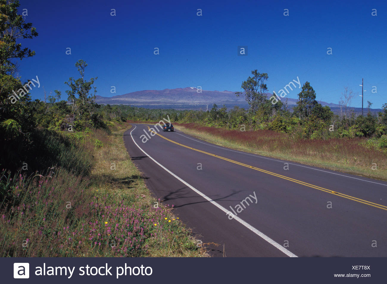 Saddle Road White Kauai Red main image 1